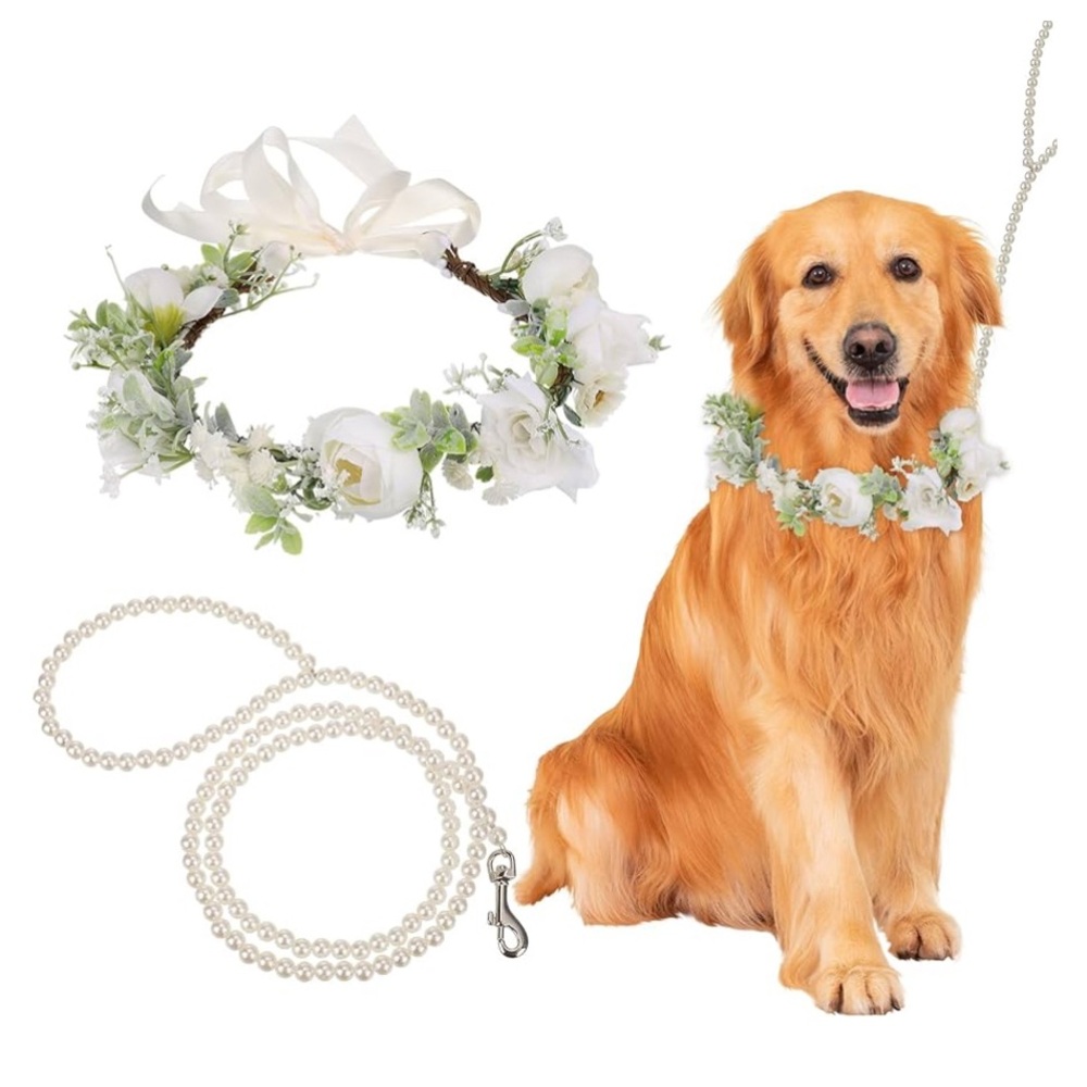 My 4 legged BFF IS PART OF MY WEDDING